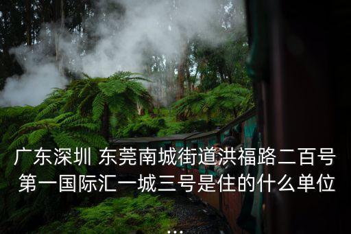 广东深圳 东莞南城街道洪福路二百号 第一国际汇一城三号是住的什么单位...