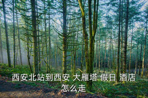 西安北站到西安 大雁塔 假日 酒店怎么走