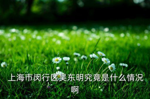  上海市闵行区吴东明究竟是什么情况啊