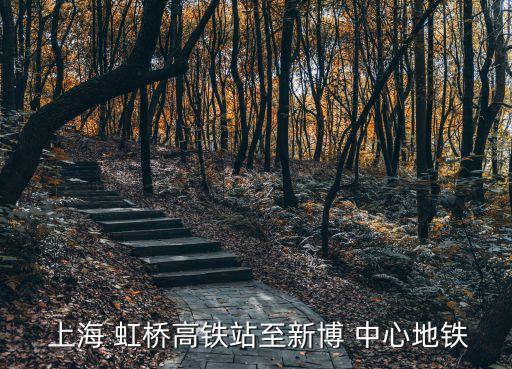  上海 虹桥高铁站至新博 中心地铁