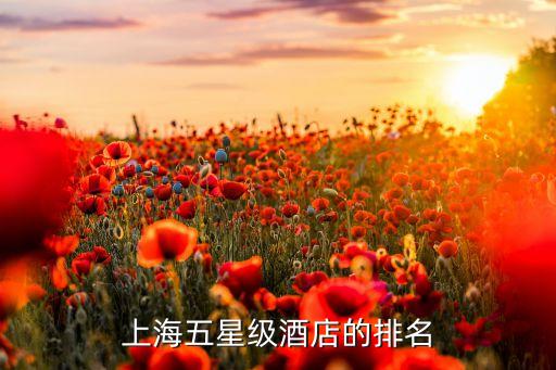隆德丰国际大酒店 事故