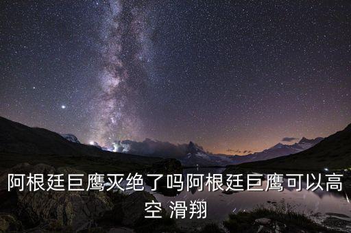 国外哪里可以滑翔
