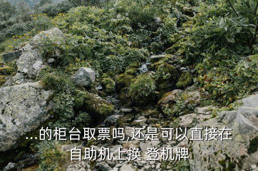 ...的柜台取票吗,还是可以直接在自助机上换 登机牌