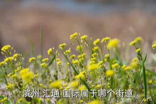 通辽市汇通国际小区,滨城区汇通国际小区怎么样