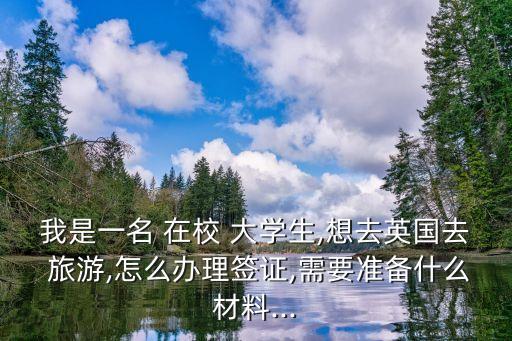 我是一名 在校 大学生,想去英国去 旅游,怎么办理签证,需要准备什么材料...