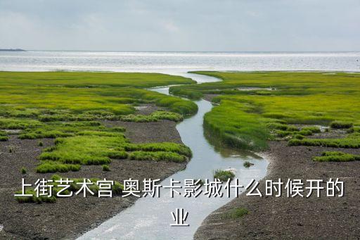 上街艺术宫 奥斯卡影城什么时候开的业