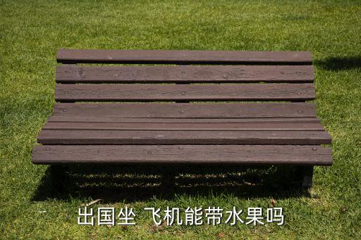 出国坐 飞机能带水果吗
