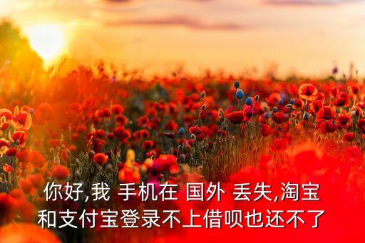 你好,我 手机在 国外 丢失,淘宝和支付宝登录不上借呗也还不了