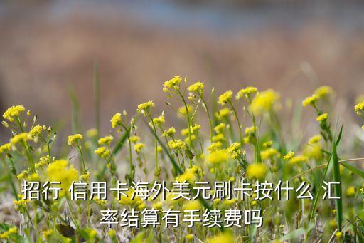 招行 信用卡海外美元刷卡按什么 汇率结算有手续费吗