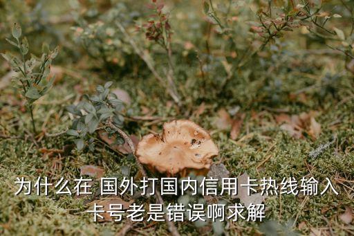 为什么在 国外打国内信用卡热线输入卡号老是错误啊求解