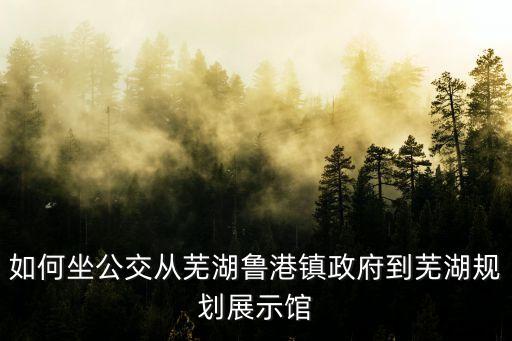 到星隆国际城坐几路公交车站