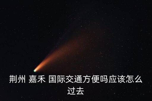荆州 嘉禾 国际交通方便吗应该怎么过去