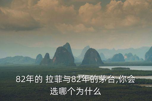 82年的 拉菲与82年的茅台,你会选哪个为什么