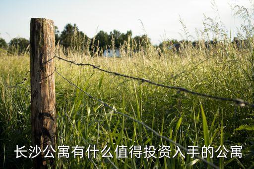  长沙公寓有什么值得投资入手的公寓