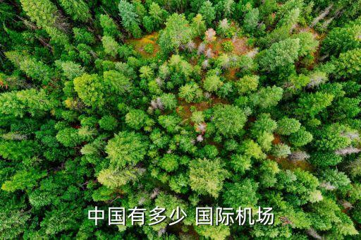 中国有多少 国际机场