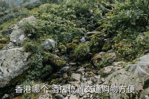  香港哪个 酒店位置交通购物方便
