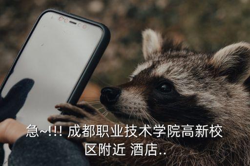 急~!!! 成都职业技术学院高新校区附近 酒店..