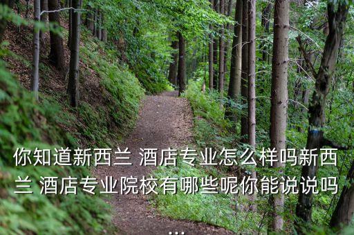 桂洛国际酒店管理学院,瑞士DCT国际酒店管理学院