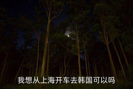 我想从上海开车去韩国可以吗