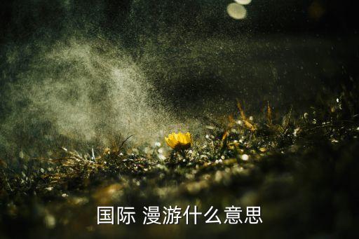 国际 漫游什么意思
