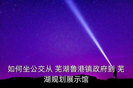 如何坐公交从 芜湖鲁港镇政府到 芜湖规划展示馆