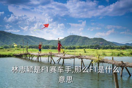 林志颖是F1赛车手,那么F1是什么意思
