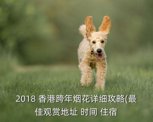 深圳到香港国际金融中心商场,香港国际金融中心商场在哪个区