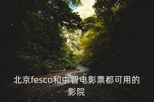 北京fesco和中智电影票都可用的影院