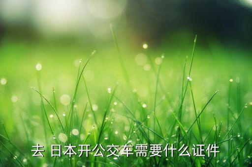 去 日本开公交车需要什么证件