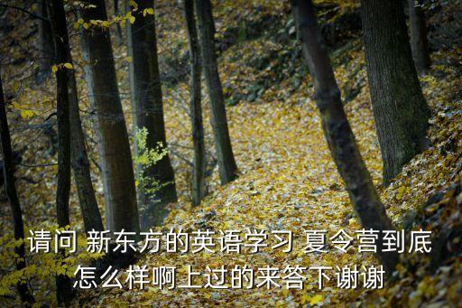 请问 新东方的英语学习 夏令营到底怎么样啊上过的来答下谢谢