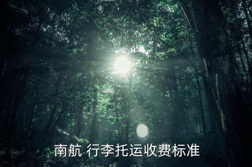  南航 行李托运收费标准