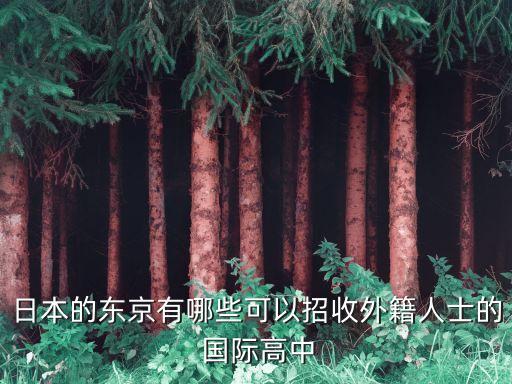 日本的东京有哪些可以招收外籍人士的 国际高中