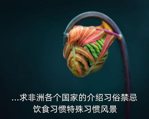 国外户外饮食,国外的户外品牌