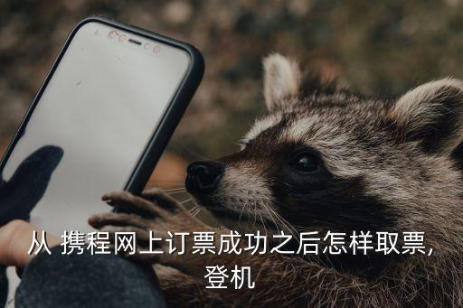 从 携程网上订票成功之后怎样取票,登机