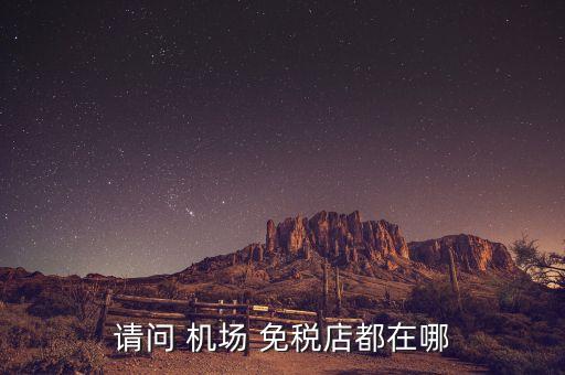 请问 机场 免税店都在哪