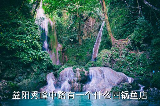 益阳秀峰中路有一个什么四锅鱼店