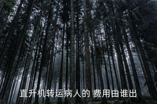 直升机转运病人的 费用由谁出