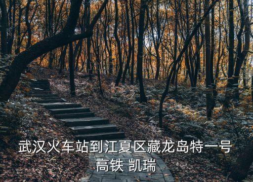  武汉火车站到江夏区藏龙岛特一号 高铁 凯瑞