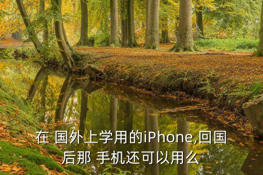 在国外买的手机国内能用吗,为什么国外买的手机国内不能用了