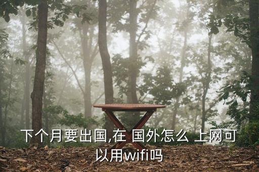下个月要出国,在 国外怎么 上网可以用wifi吗
