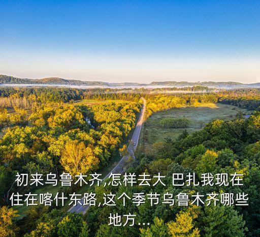 初来乌鲁木齐,怎样去大 巴扎我现在住在喀什东路,这个季节乌鲁木齐哪些地方...