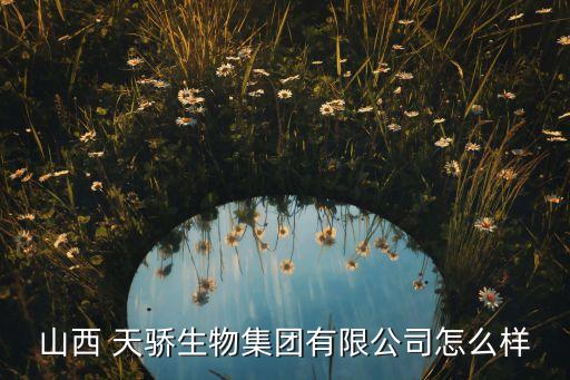 自贡天骄国际酒店地址,自贡隆宽天骄国际