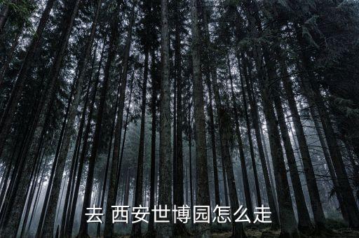 去 西安世博园怎么走