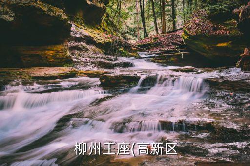  柳州王座(高新区