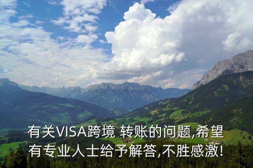 有关VISA跨境 转账的问题,希望有专业人士给予解答,不胜感激!