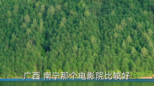 广西 南宁那个电影院比较好