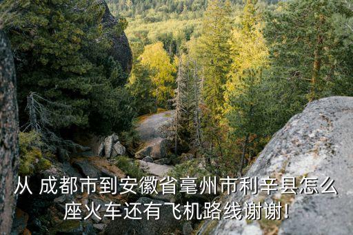 从 成都市到安徽省毫州市利辛县怎么座火车还有飞机路线谢谢!