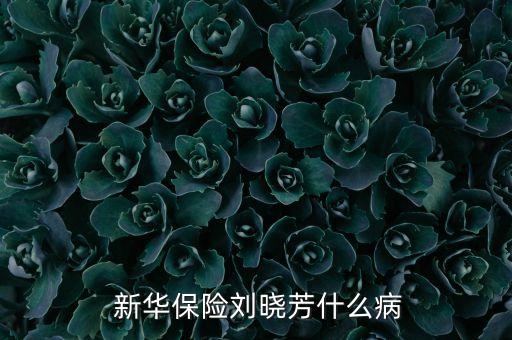 新华保险 西安新城国际