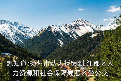 想知道:扬州市从大桥镇到 江都区人力资源和社会保障局怎么坐公交