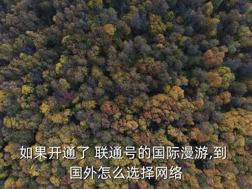 如果开通了 联通号的国际漫游,到 国外怎么选择网络